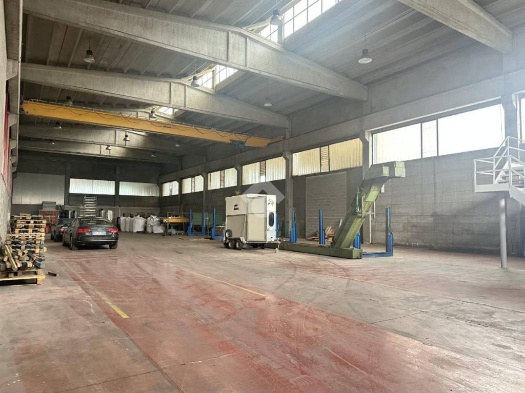 immagine annuncio 6 di 14