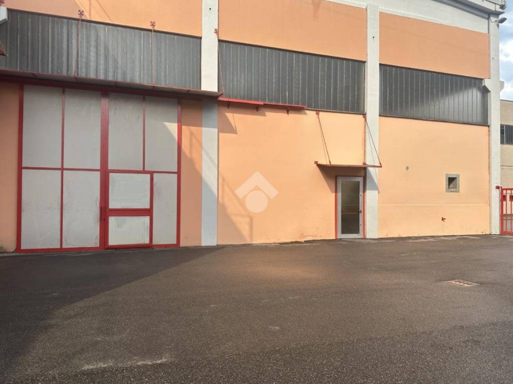 immagine annuncio 12 di 14
