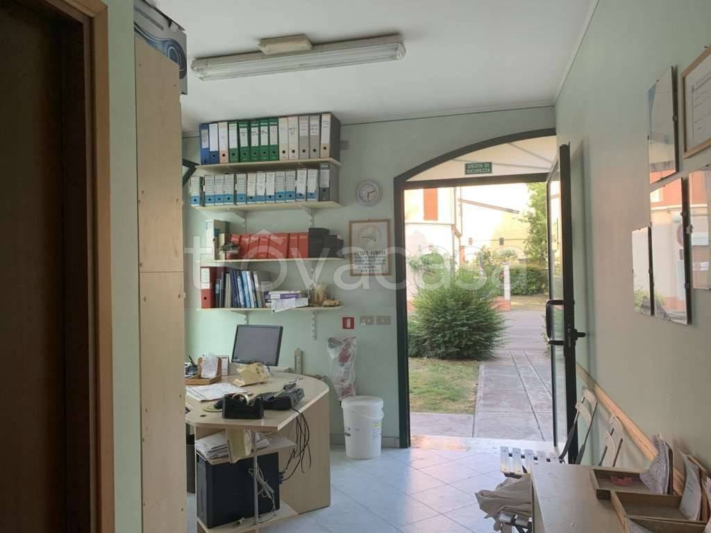 immagine annuncio 6 di 11
