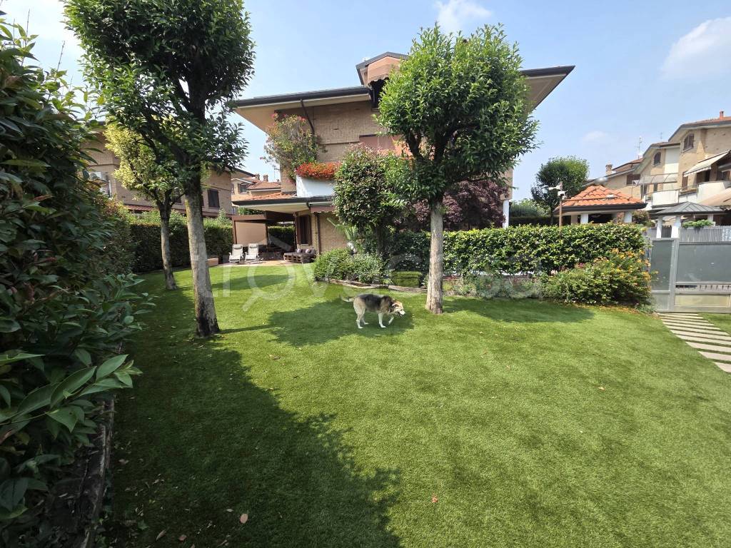 immagine annuncio 2 di 15