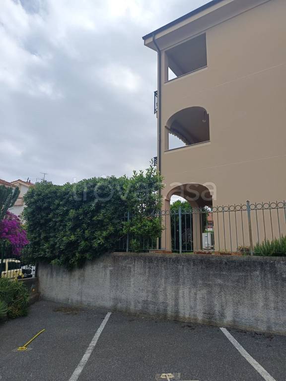 immagine annuncio 2 di 14