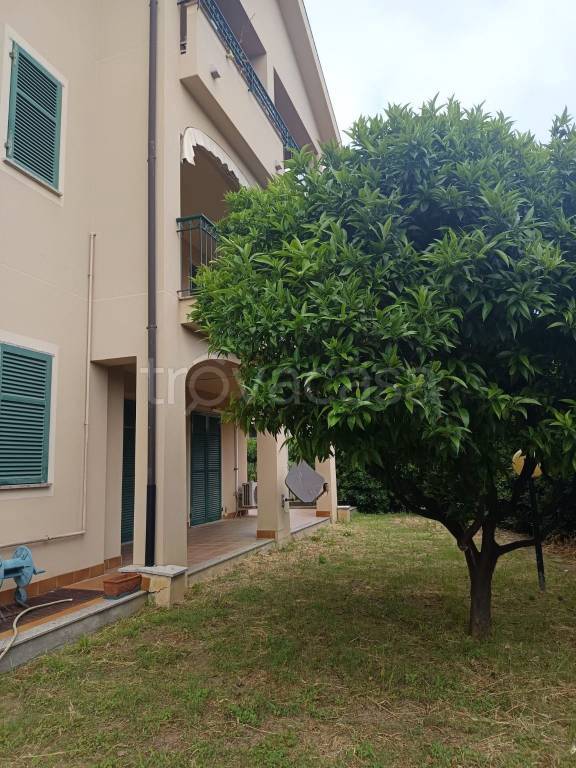 immagine annuncio 7 di 14