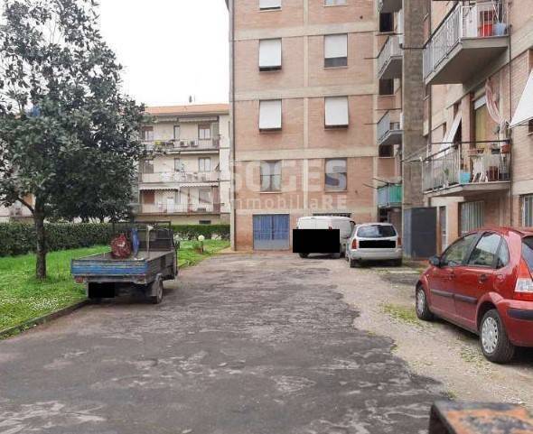 immagine annuncio 5 di 7