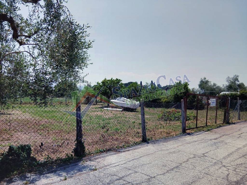 immagine annuncio 1 di 13