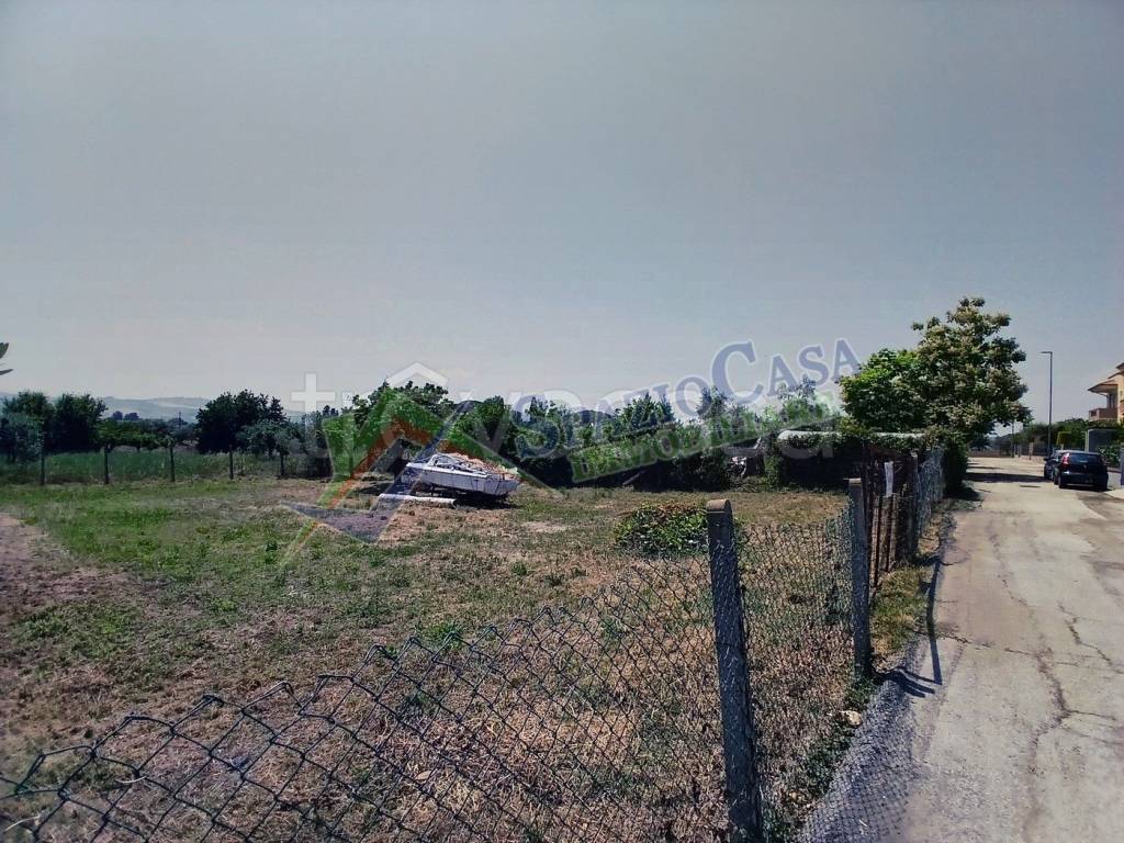 immagine annuncio 5 di 13