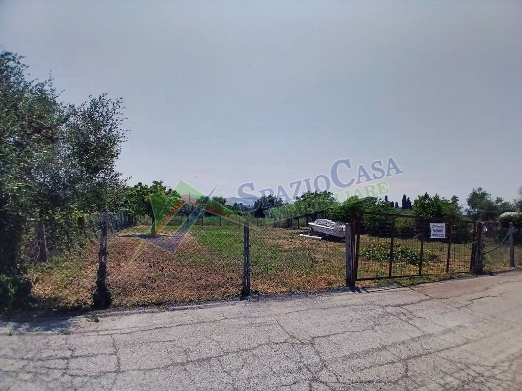 immagine annuncio 4 di 13