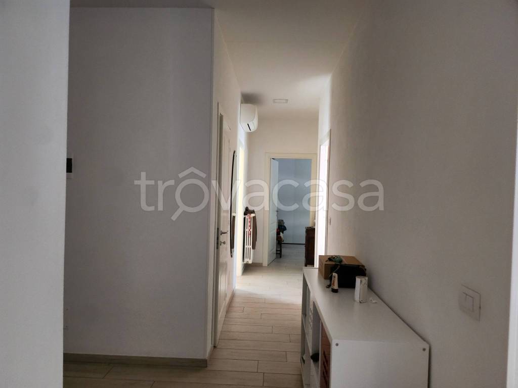 immagine annuncio 5 di 14