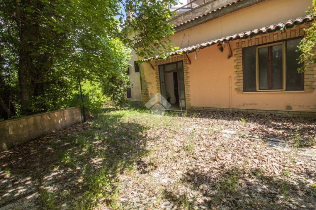 immagine annuncio 10 di 12