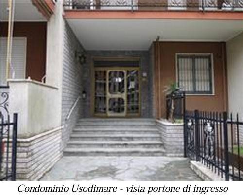 immagine annuncio 5 di 12