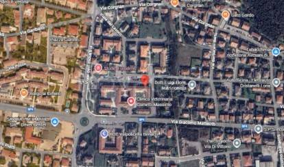 immagine annuncio 1 di 8