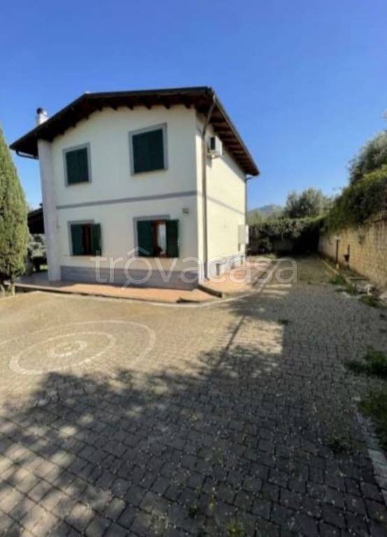 immagine annuncio 9 di 14