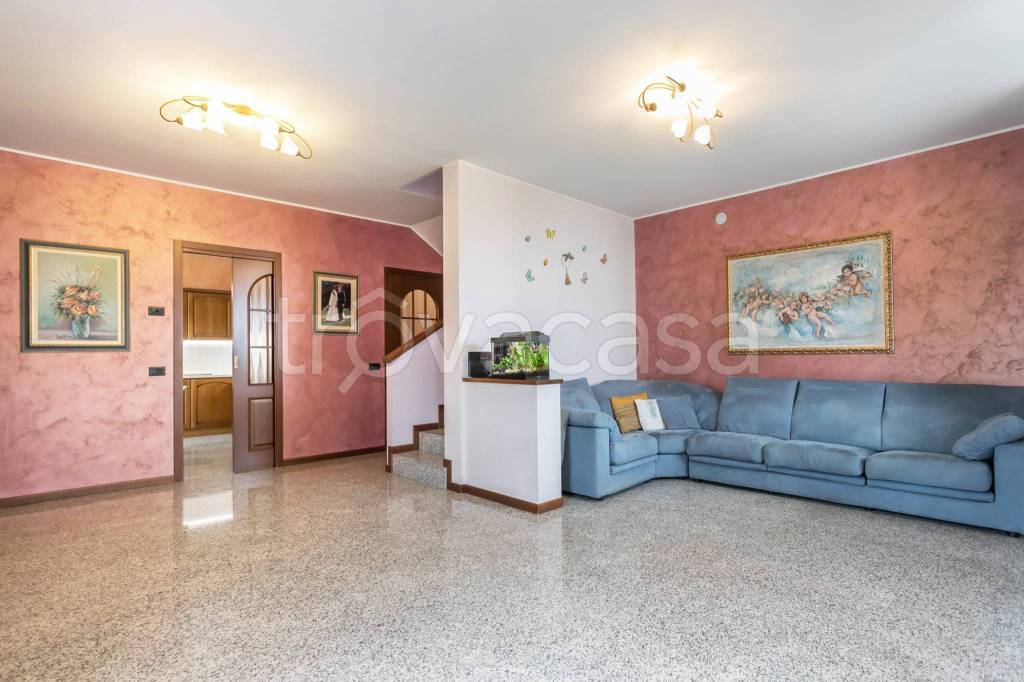 immagine annuncio 10 di 15