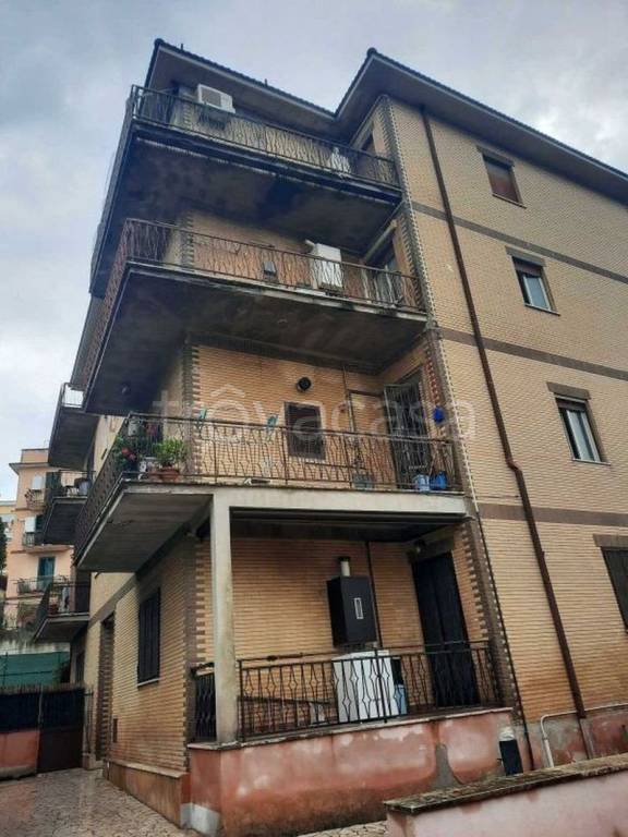 immagine annuncio 12 di 14