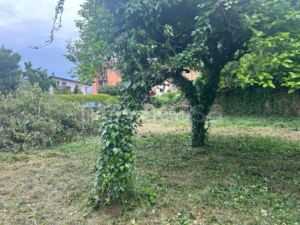 immagine annuncio 5 di 13