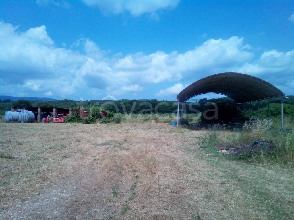 immagine annuncio 11 di 12