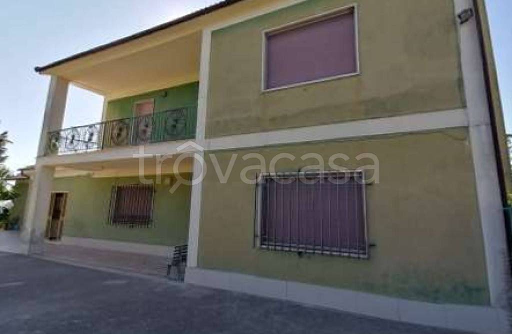 immagine annuncio 8 di 11