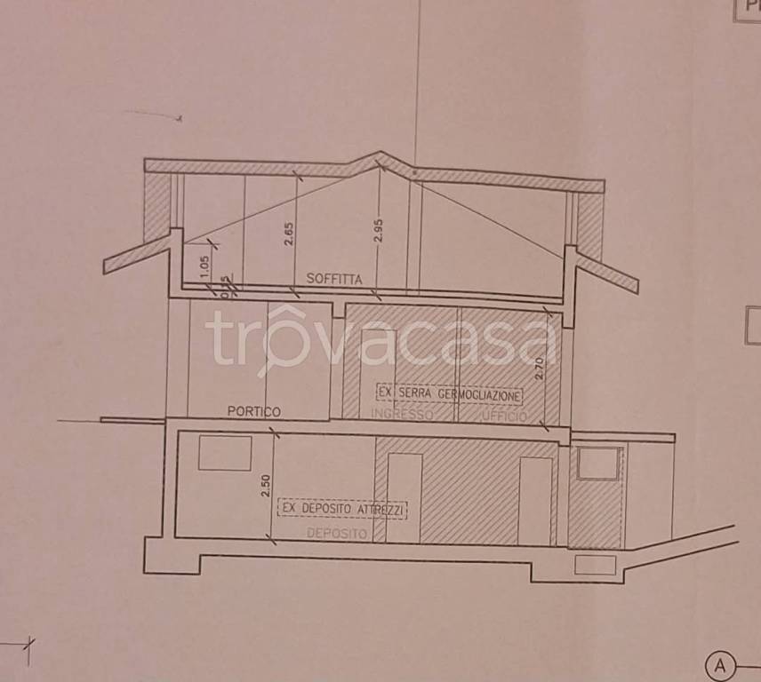 immagine annuncio 9 di 11