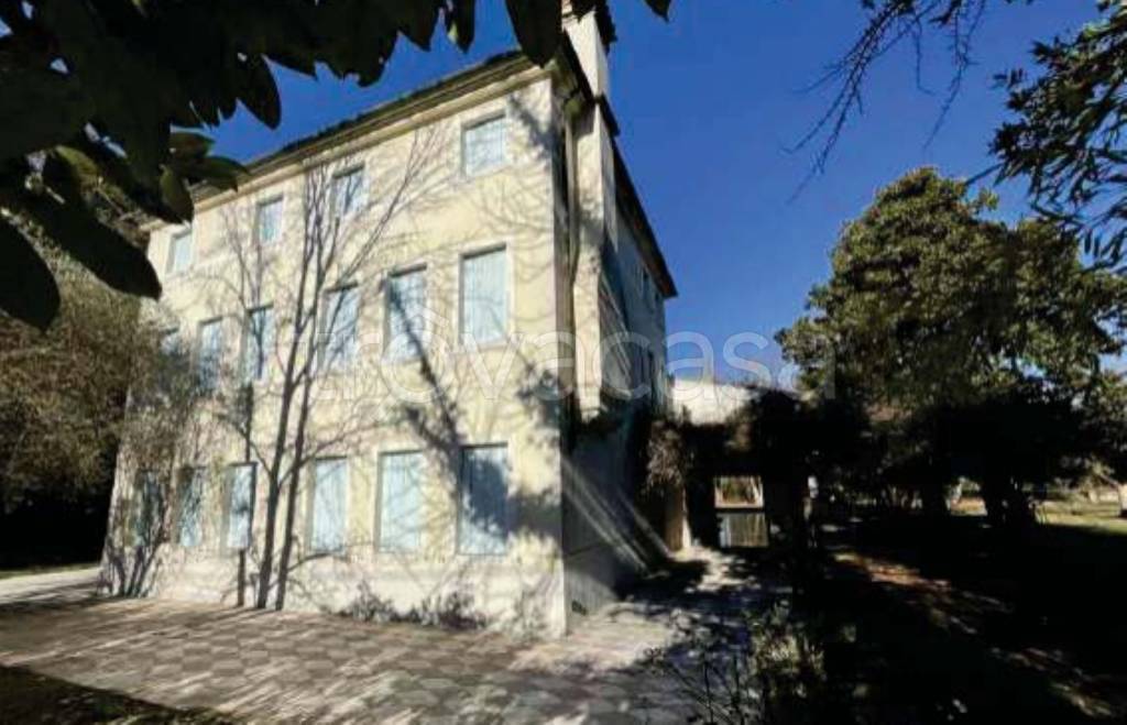 immagine annuncio 5 di 11