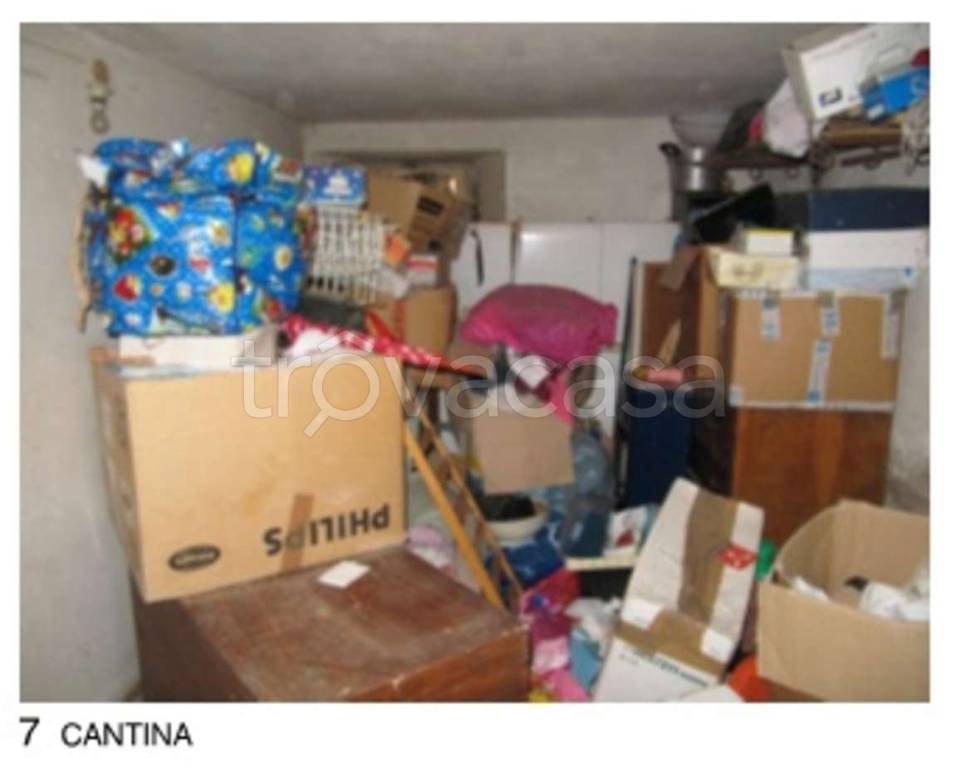 immagine annuncio 6 di 11