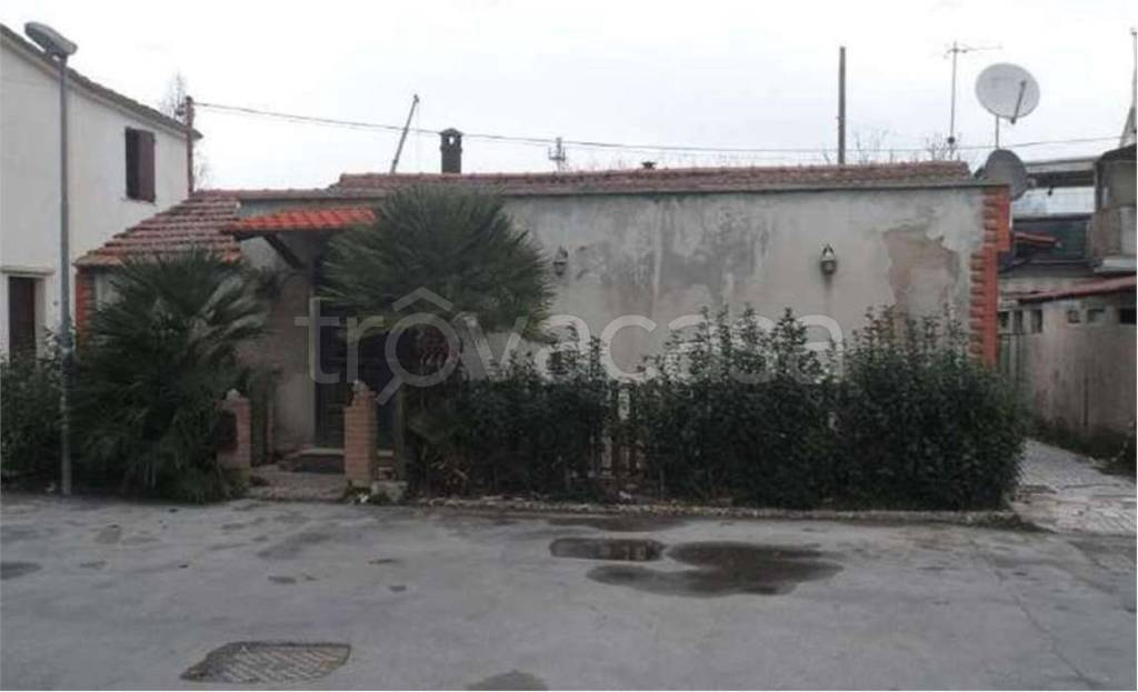 immagine annuncio 2 di 11