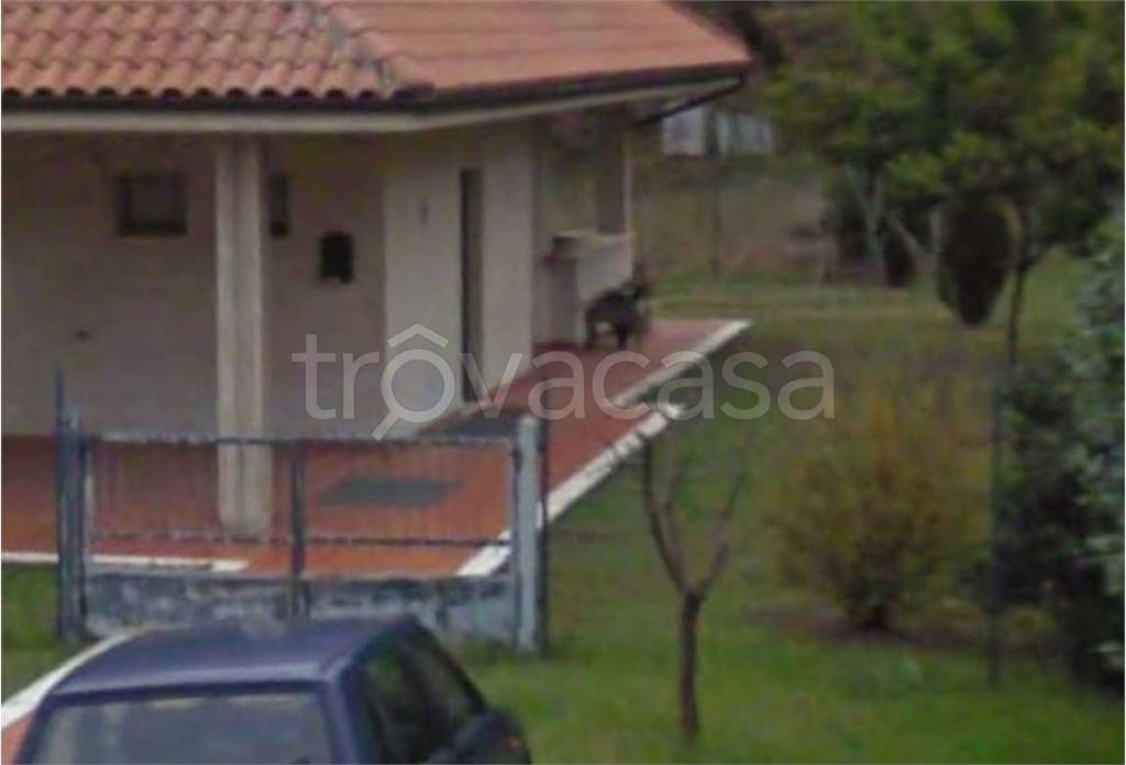 immagine annuncio 7 di 11