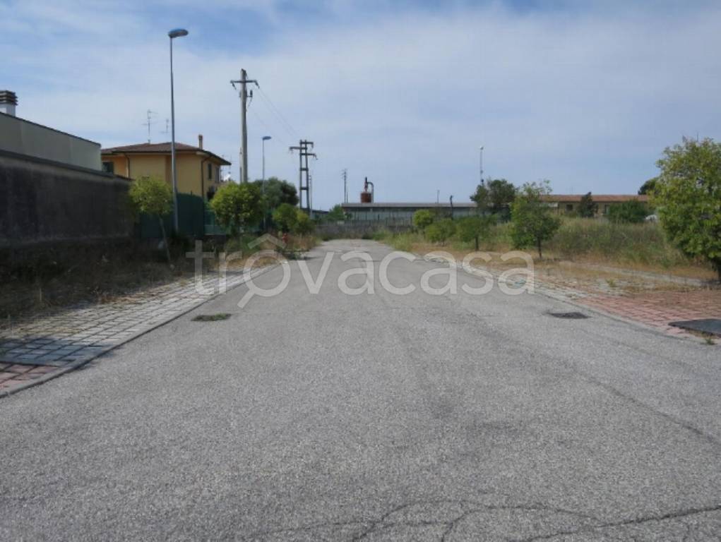 immagine annuncio 2 di 12