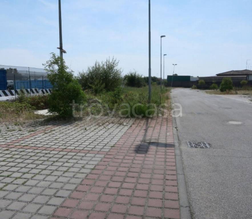 immagine annuncio 3 di 12