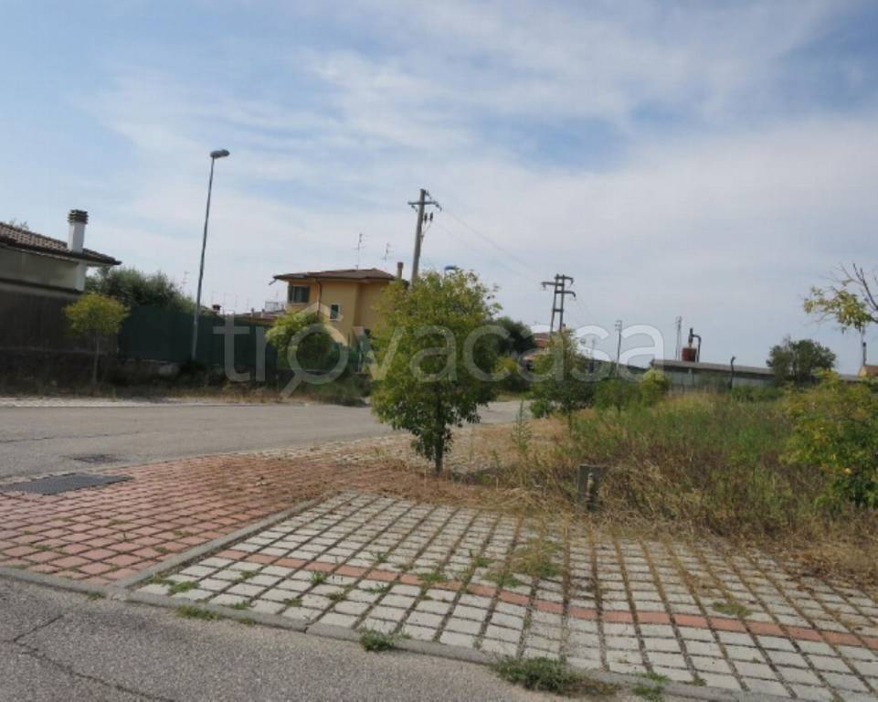 immagine annuncio 9 di 12