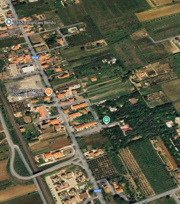 immagine annuncio 3 di 15