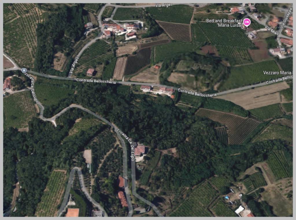 immagine annuncio 10 di 15