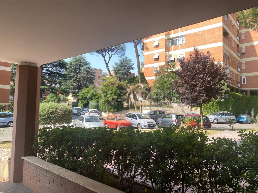 immagine annuncio 3 di 6