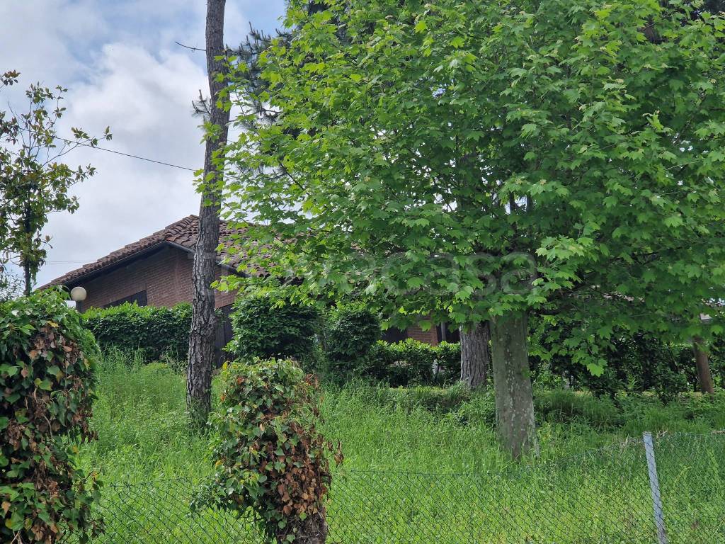 immagine annuncio 13 di 14