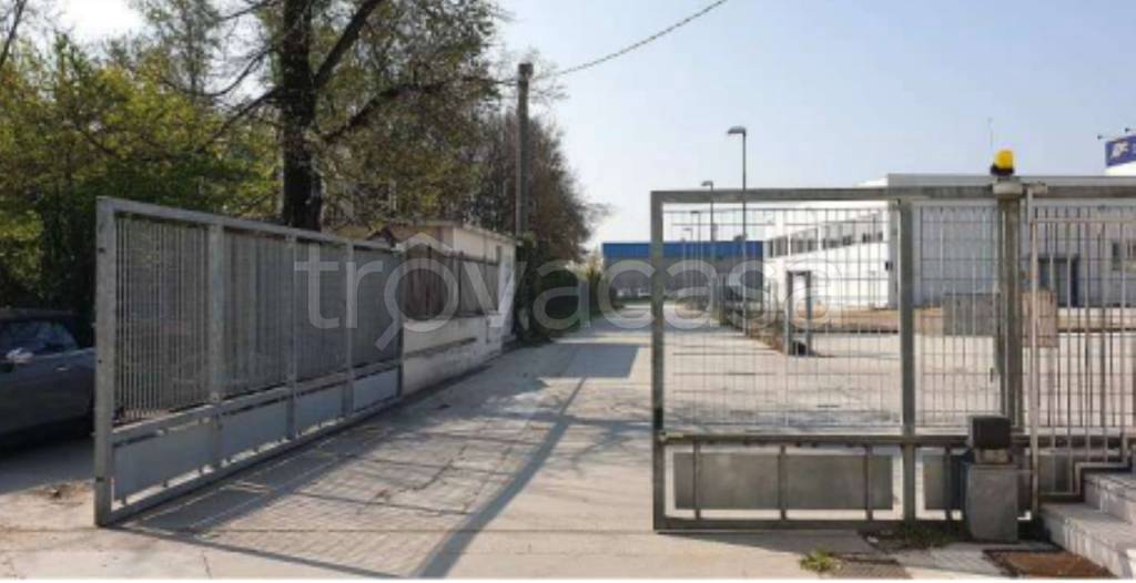 immagine annuncio 1 di 11