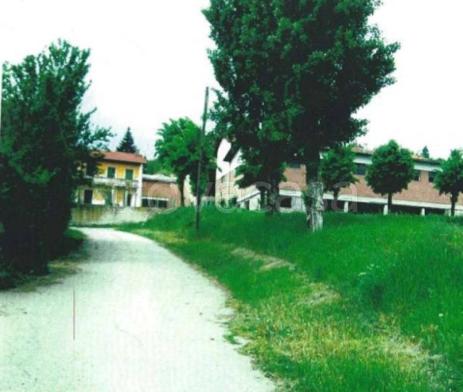 immagine annuncio 2 di 13
