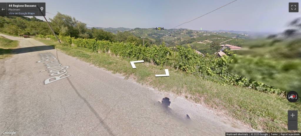 immagine annuncio 7 di 14