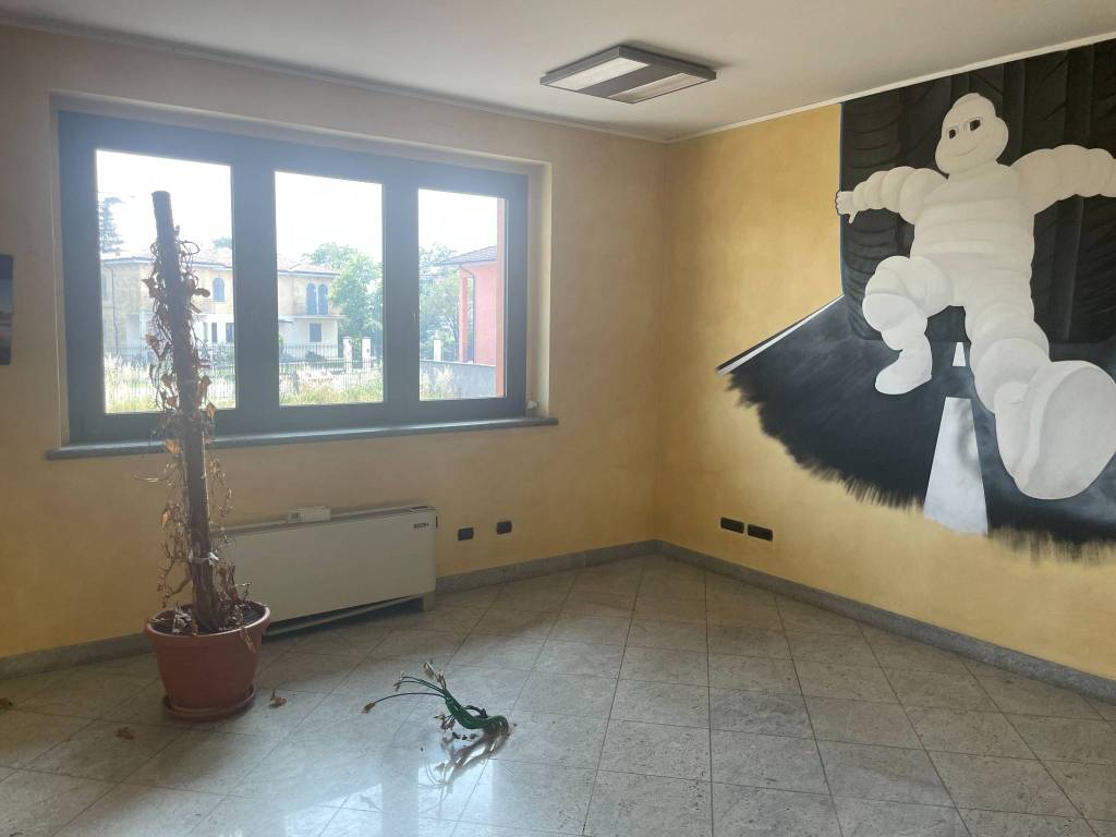 immagine annuncio 4 di 11