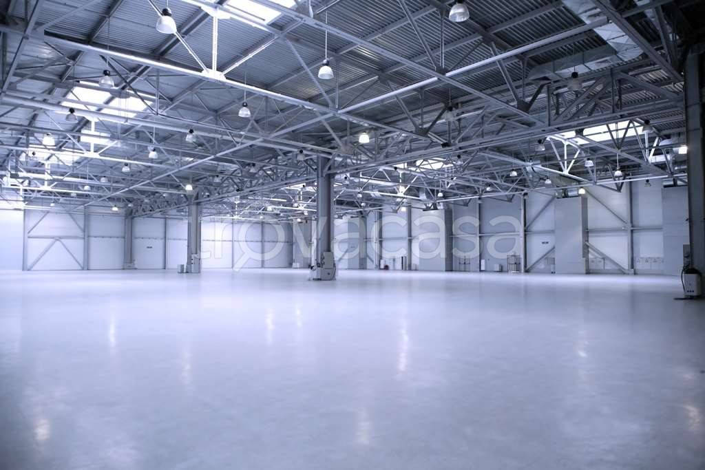 immagine annuncio 4 di 6