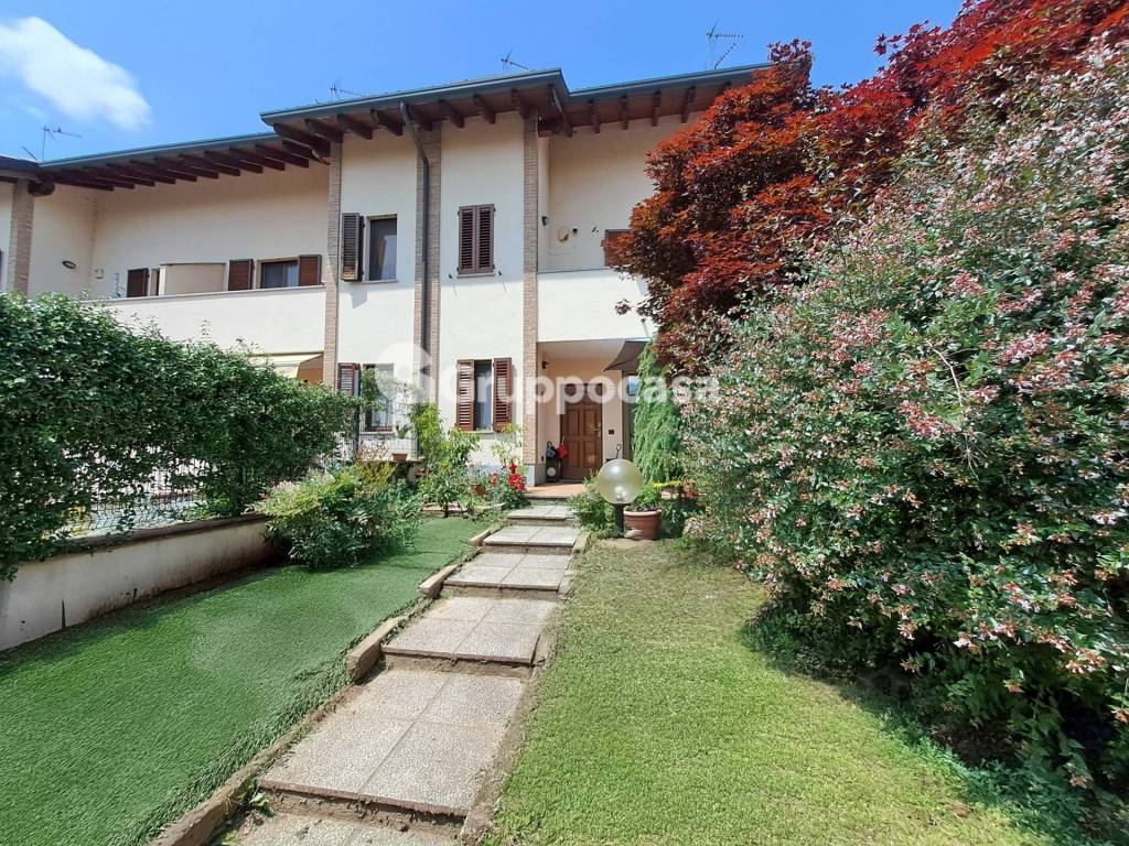 immagine annuncio 1 di 15