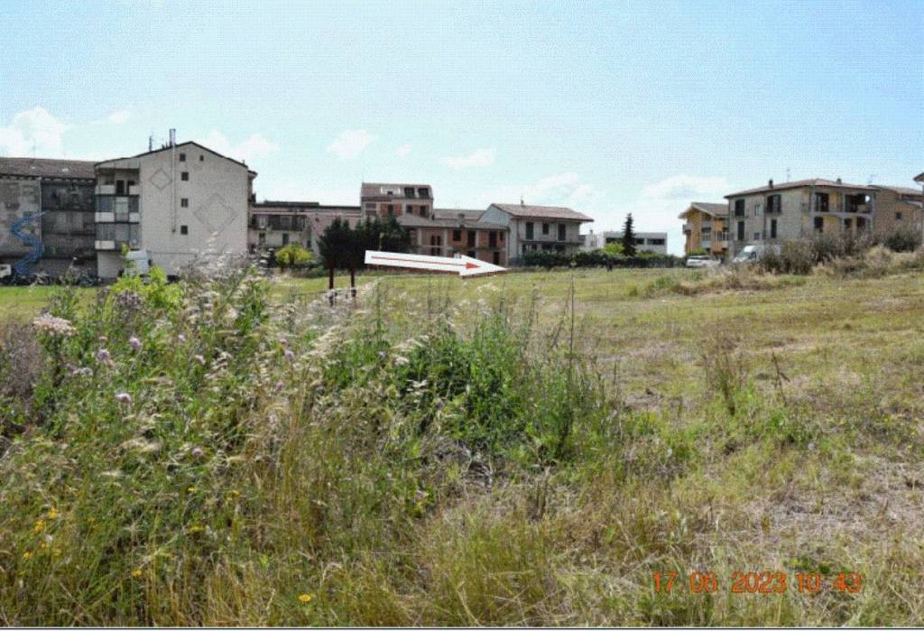 immagine annuncio 3 di 9