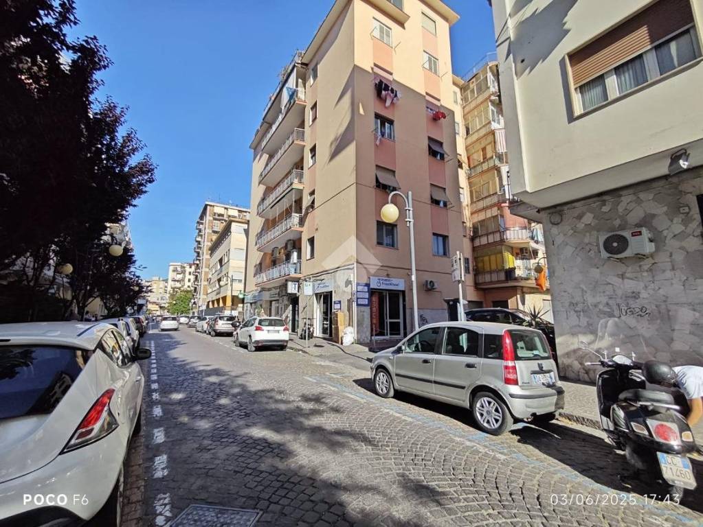 immagine annuncio 3 di 14