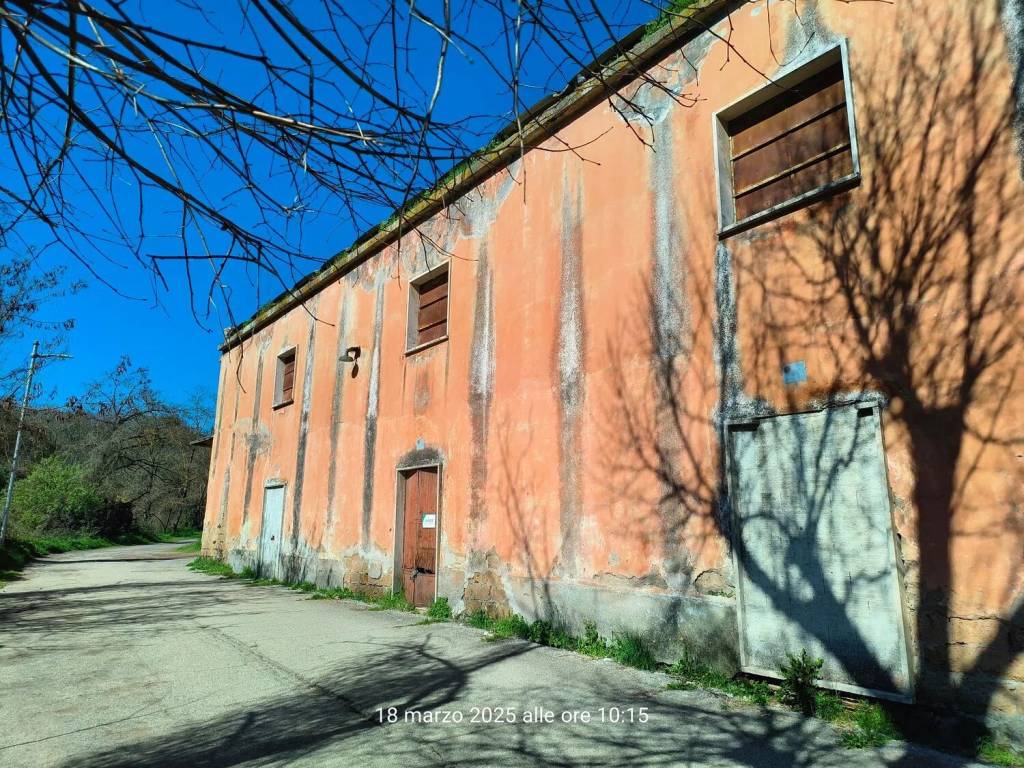 immagine annuncio 6 di 7