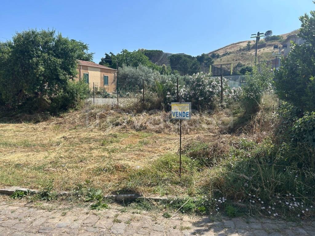 immagine annuncio 1 di 6