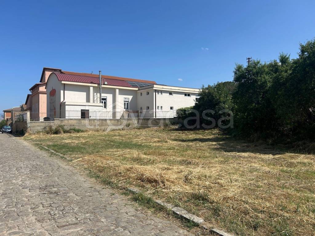 immagine annuncio 2 di 6