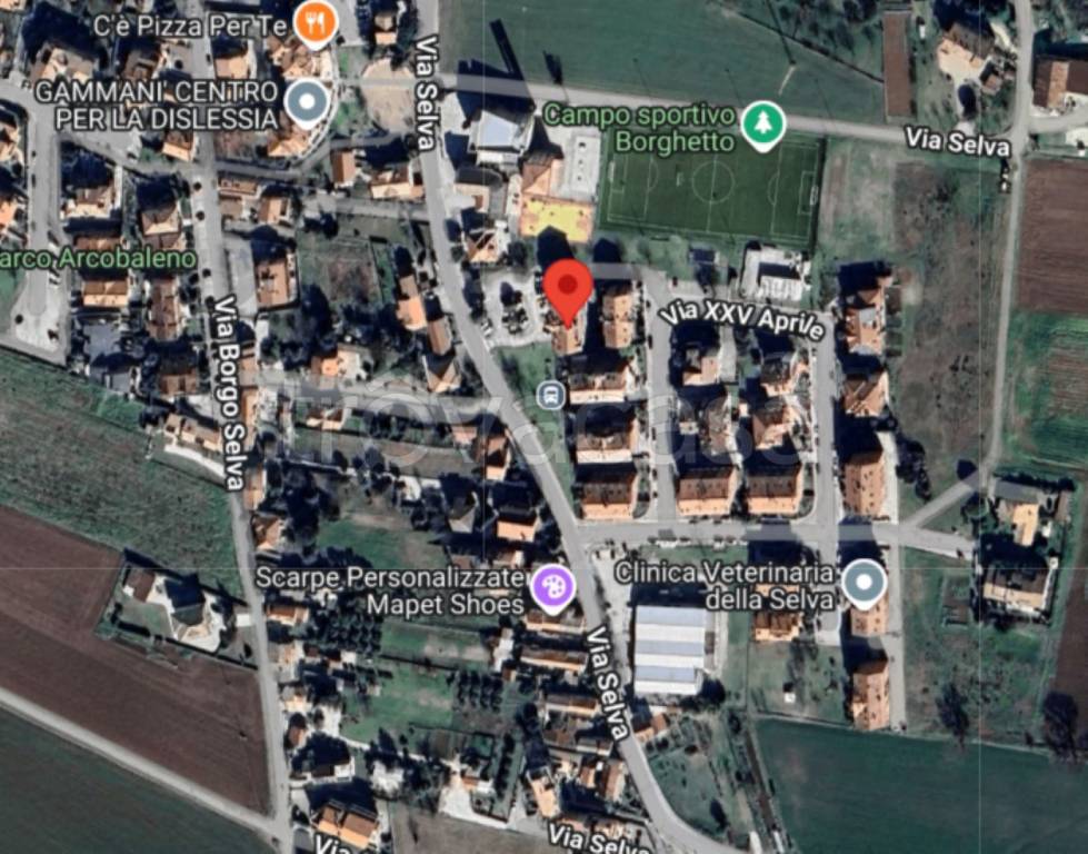 immagine annuncio 8 di 12