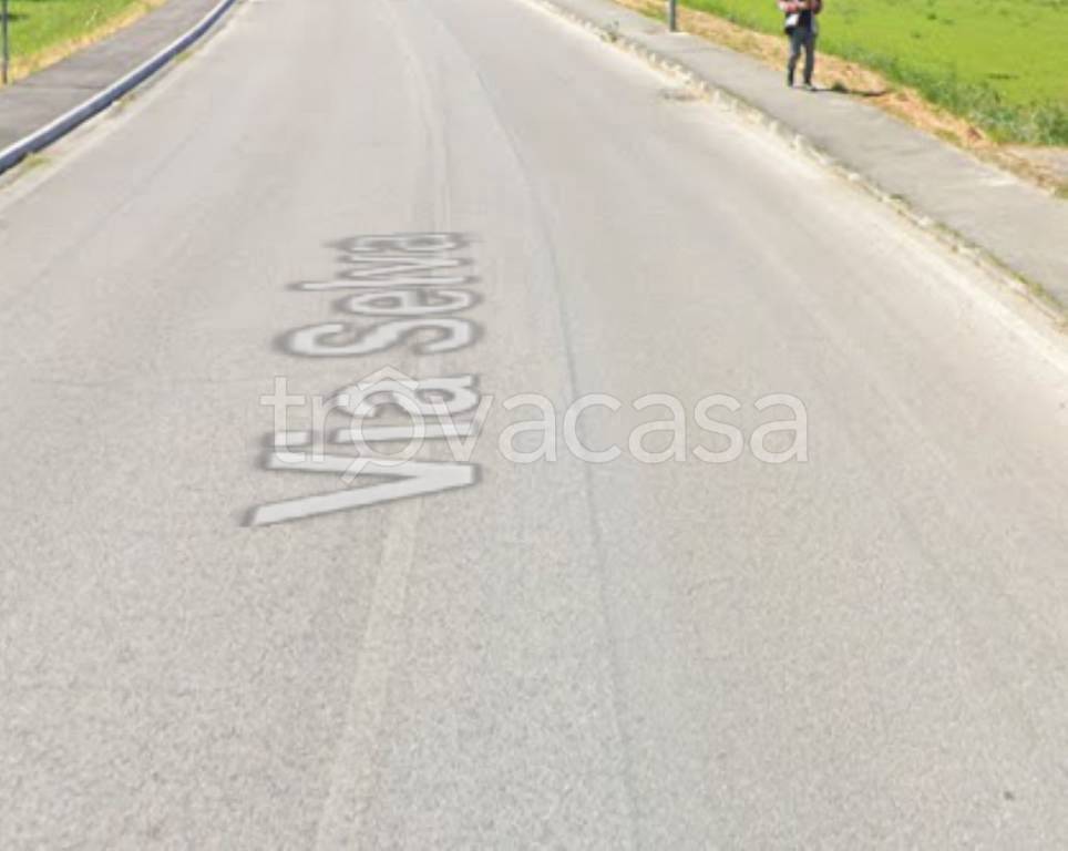 immagine annuncio 10 di 12