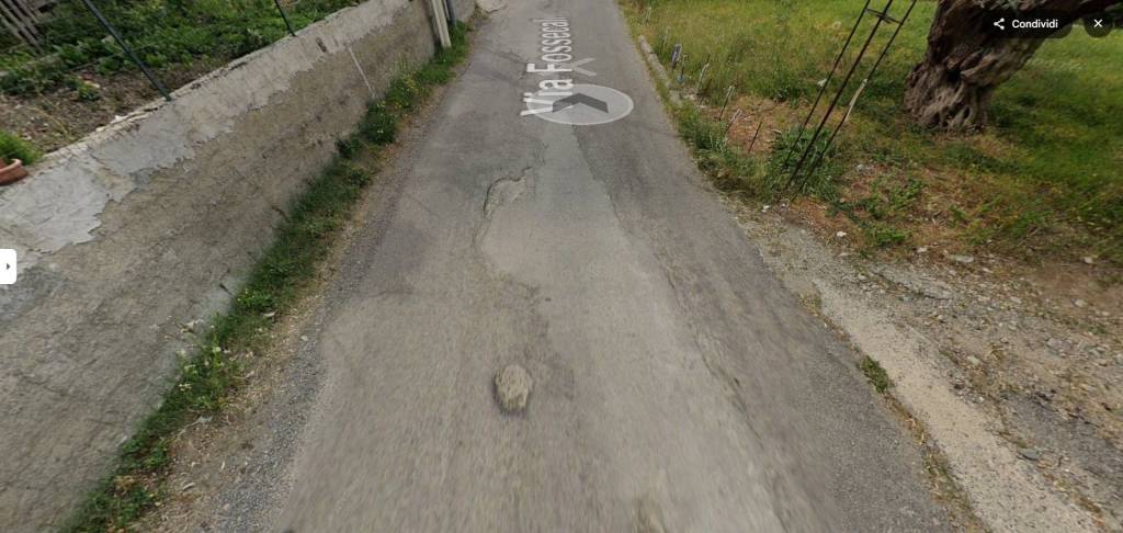immagine annuncio 10 di 13