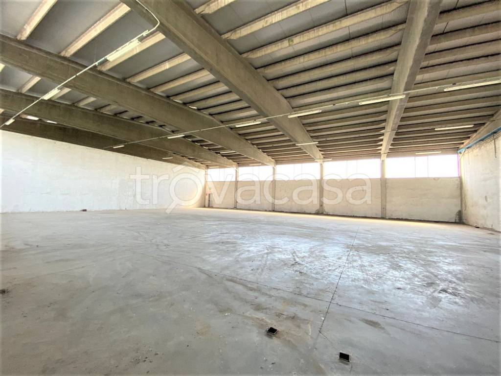 immagine annuncio 2 di 7