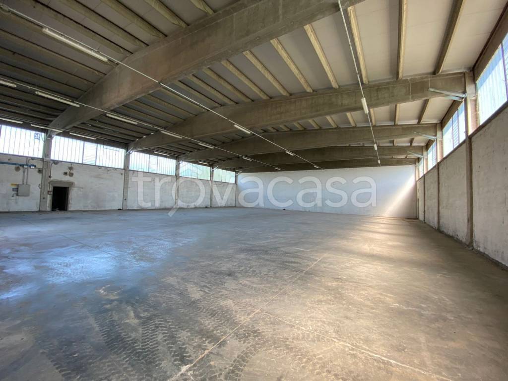 immagine annuncio 3 di 7