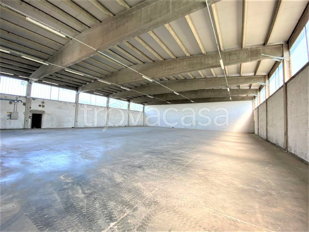 immagine annuncio 4 di 7