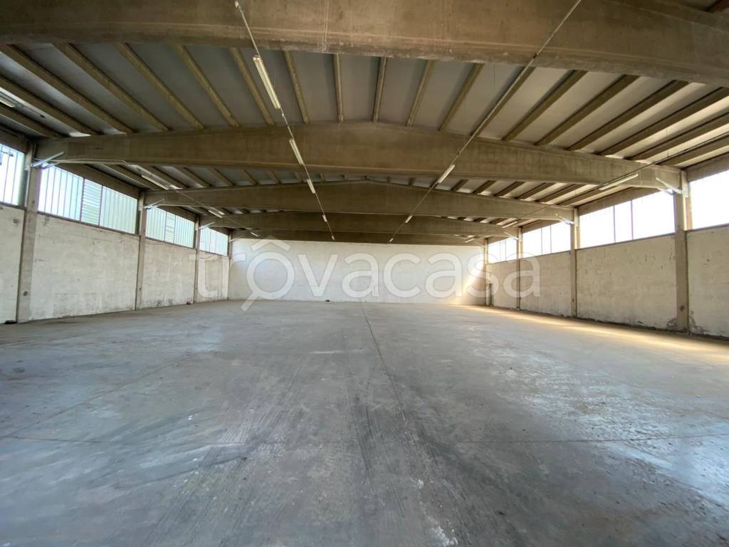 immagine annuncio 5 di 7